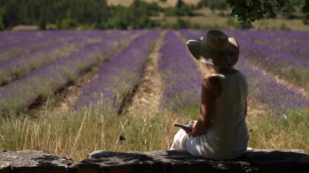 Lavande de Provence : une fragrance unique